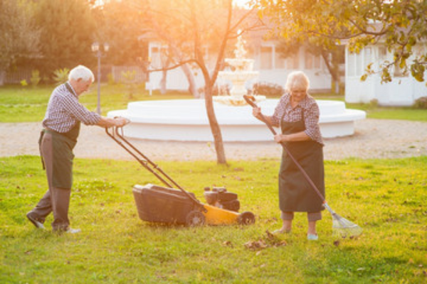 Keep the garden clean