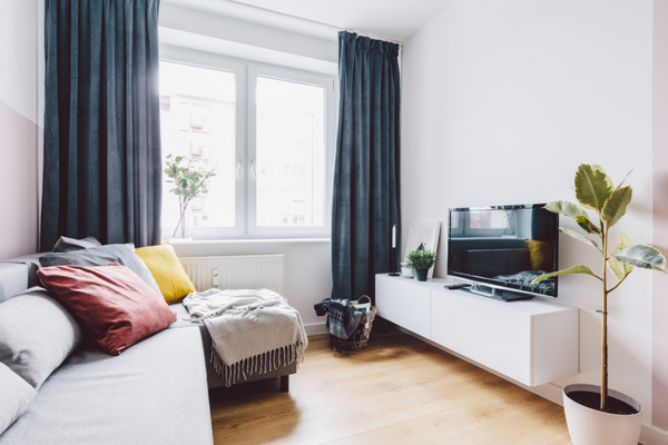 A cozy bed for small rooms has a screen